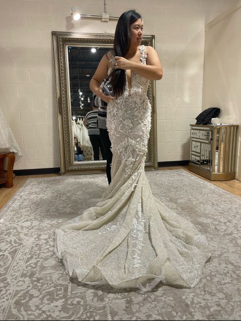 Best Veil to match glitter dress 2