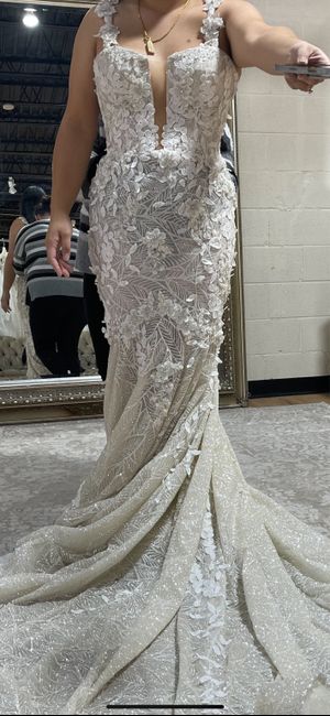 Best Veil to match glitter dress 3