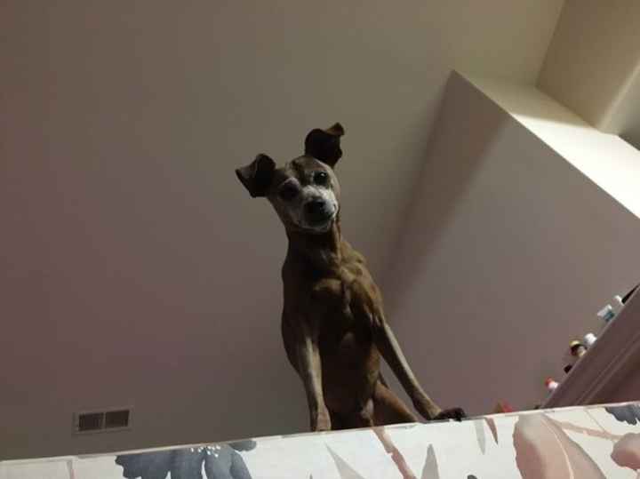 Well, hello there!