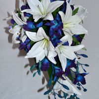 Silk blue dendrobium orchid