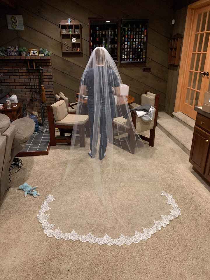 Veils are too expensive - 1