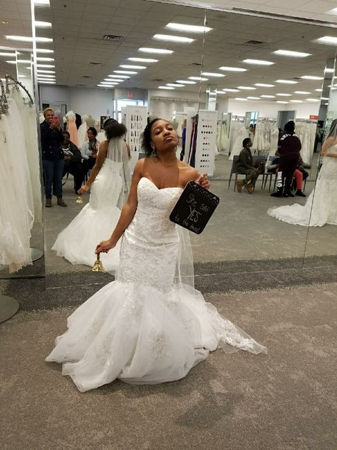 Davids Bridal Dresses!