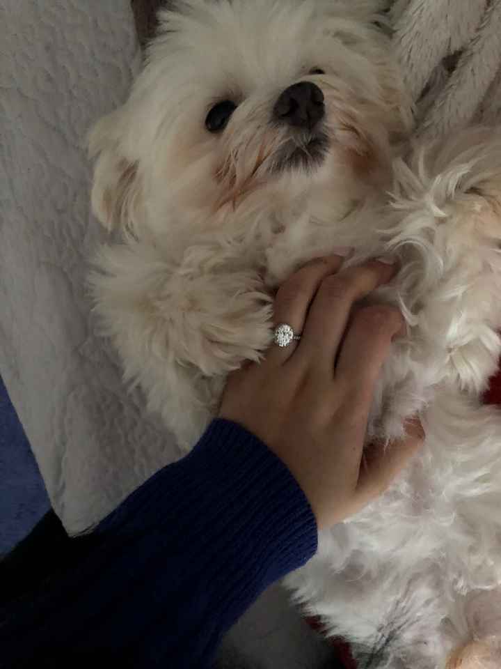 Moissanite Rings! - 2