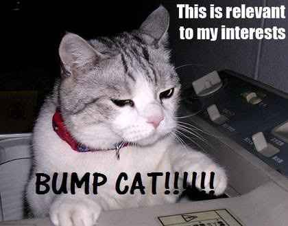 ANYONE WITH A GENERIC WW AVATAR, PLEASE READ