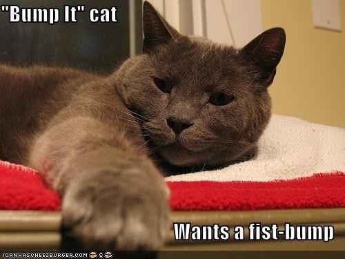 ANYONE WITH A GENERIC WW AVATAR, PLEASE READ