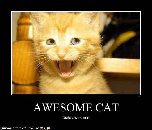 Most memorable post on WW?