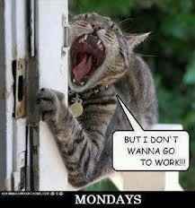 Uhhhh, Where have I been??!!