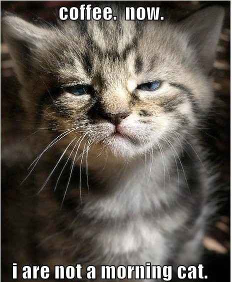 GENERIC AVATARS (NEWBIE OR NOT!) PLEASE READ!