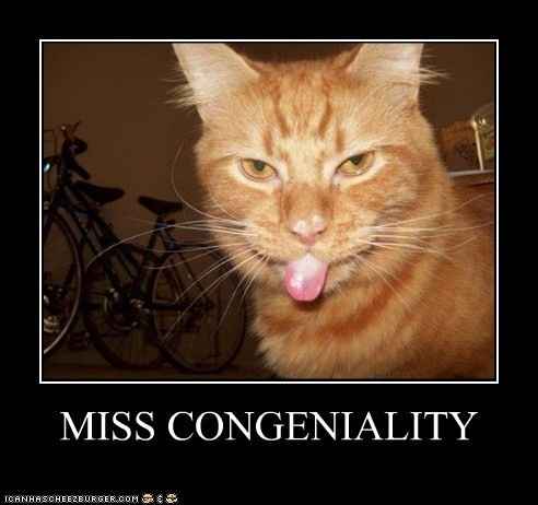 GENERIC AVATARS (NEWBIE OR NOT!) PLEASE READ!