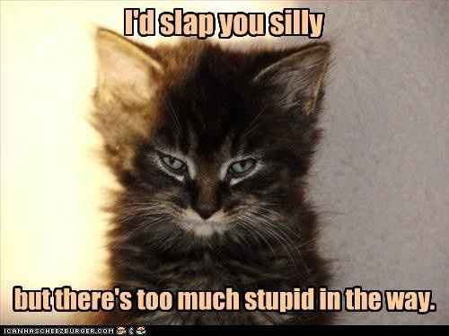 GENERIC AVATARS (NEWBIE OR NOT!) PLEASE READ!