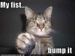 Newbies with ring avatars, click here!