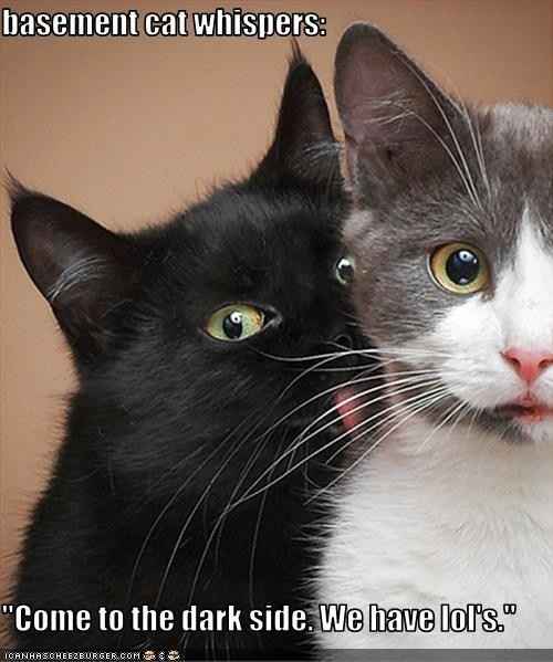 NEWBIES WITH RING AVATARS! Please click here!