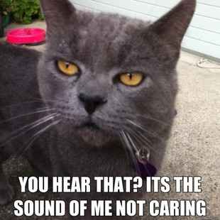 It's been a while...