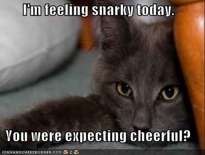 It's been a while...