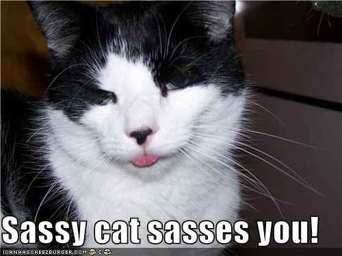 It's been a while...