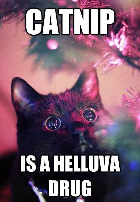 It's been a while...