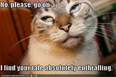 It's been a while...