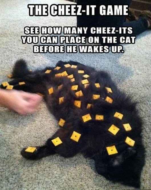 I would just like to thank Jac-Jac...