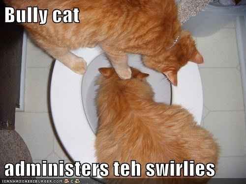 Because we could use a laugh today ...