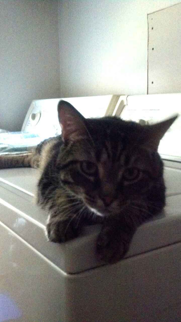 Since its Friday....