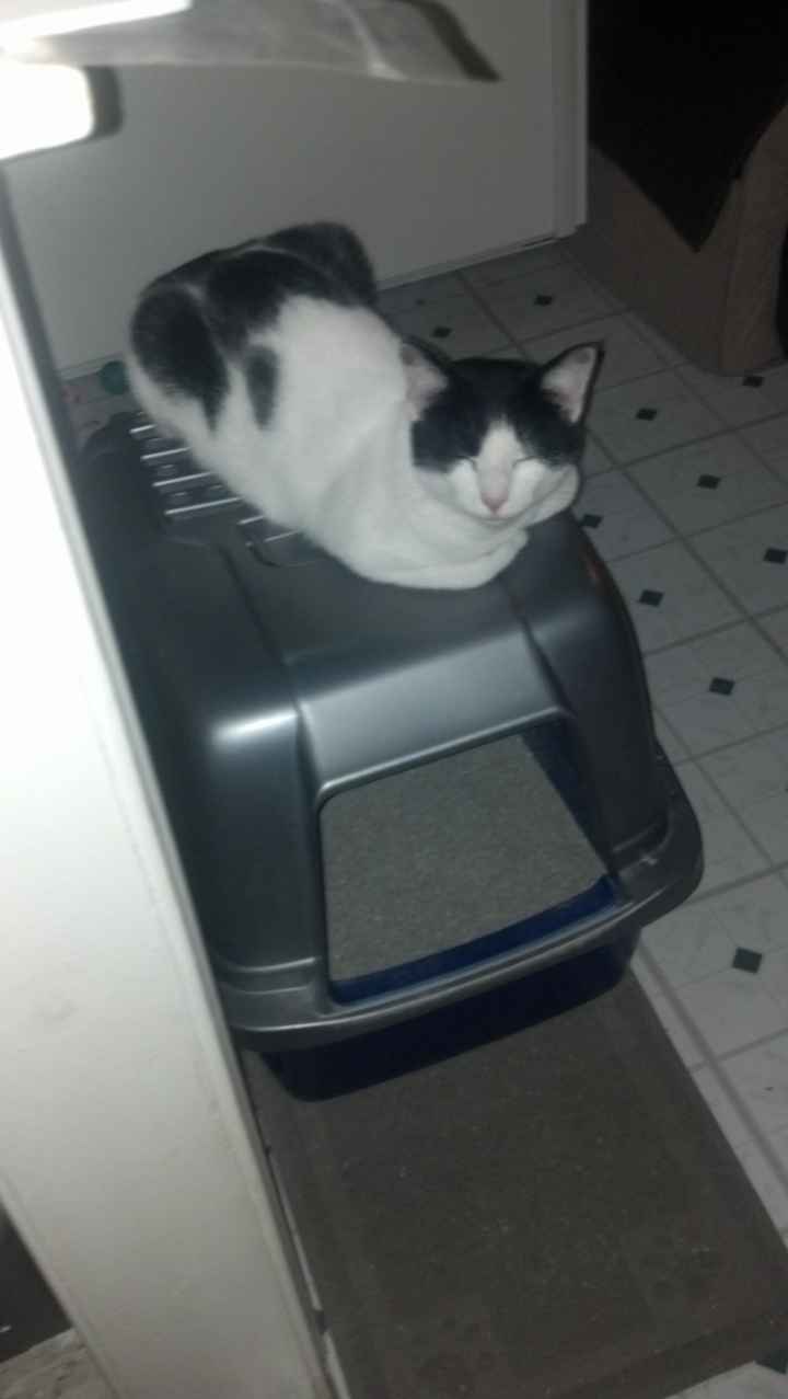 Since its Friday....