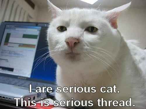 GENERIC AVATARS PLEASE READ - NEWBIE OR NOT