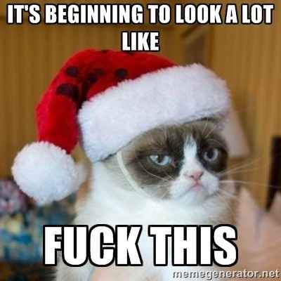 NWR: Fun time - Holiday Cat Pics