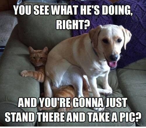 ^#&**^# Jac-Jac you spoke too soon!