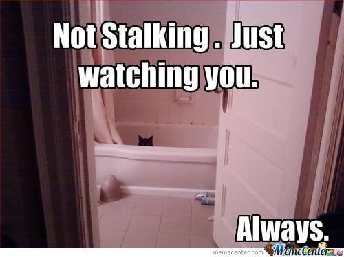 SPAM ALERT: FLAG 'EM!