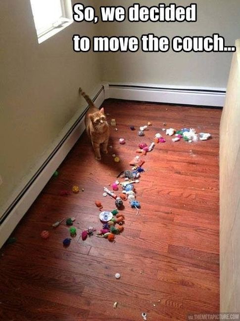 It's been a while...