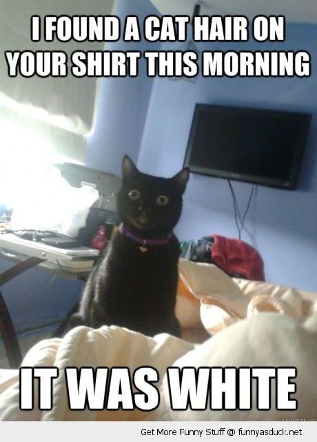 It's been a while...