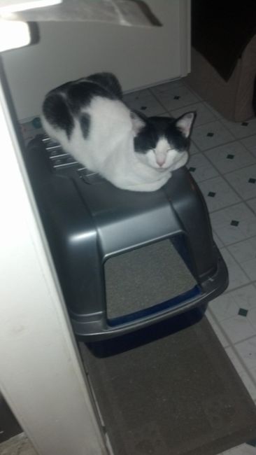 Since its Friday....