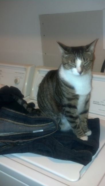 Since its Friday....