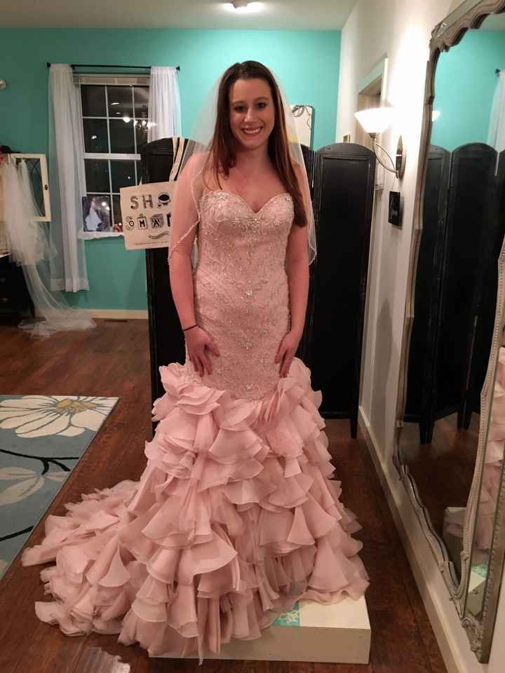 How much was your dress?