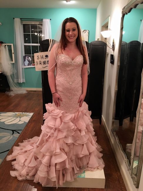 How much was your dress?