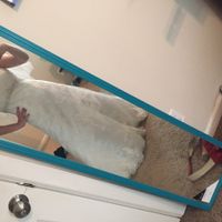 Necklace + dress show me yours