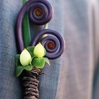 What's that swirl flower?