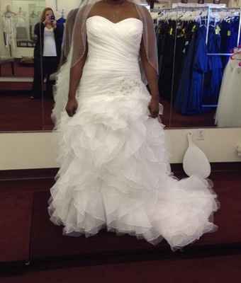 I finally took the plunge...Here is my Dress! Would you post yours?