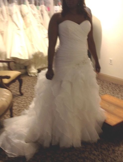 Anyone have there wedding dress picked out? Pics?