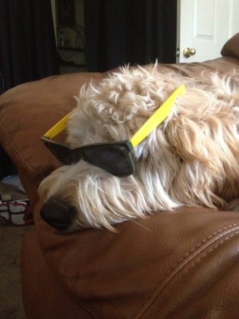 Show mee yourrr…..