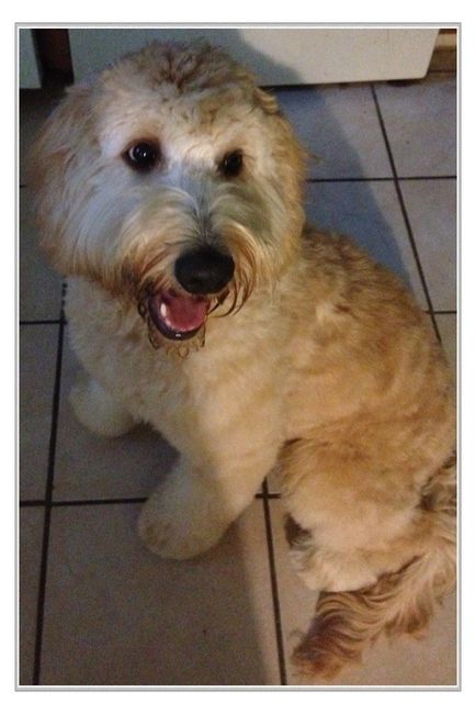 Show mee yourrr…..