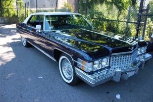 Are you all doing a limo?