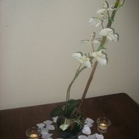 LadyLee Please Help...as well as others =]]