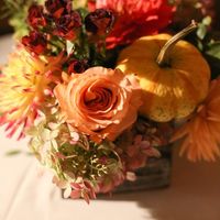 Centerpiece Arrangement