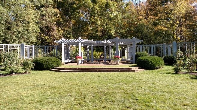 Having a small wedding - 1