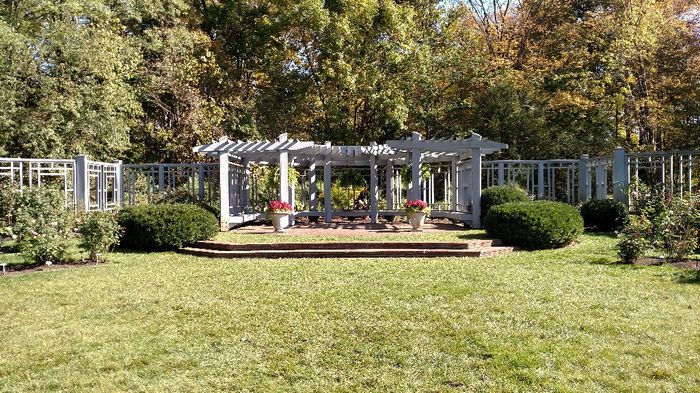 Park Wedding Ceremony - 1