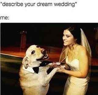 Favorite Wedding Memes? - 3