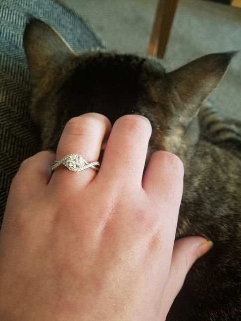 Show me your rings!