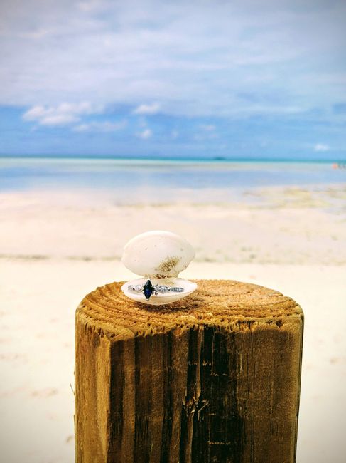 Rings💍💍💍 - 1