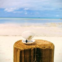 Rings💍💍💍 - 1